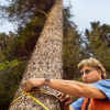 Homme mesurant un tronc d'arbre
